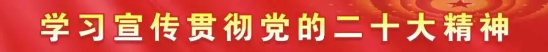 为什么可靠的篮球技术指导对初学者很重要?_2